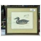 Hand Signed Print
