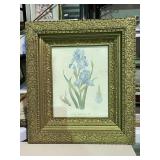 Ornate Framed Watercolor