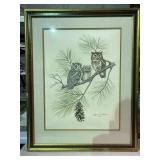Screech Owl