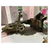 Natural Driftwood Collectibles