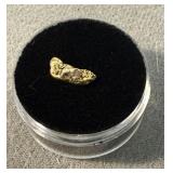 Costa Rica Gold Nugget