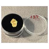 Gold Nugget
