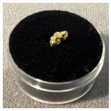 Alaskan Gold Nugget