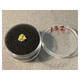 Gold Nugget