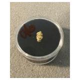 Alaskan Gold Nugget