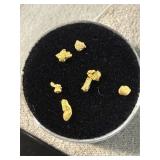 7 Small Gold Nuggets