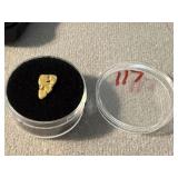 California Gold Nugget