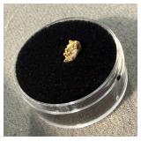 Gold Nugget