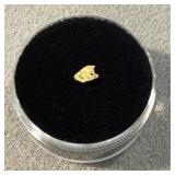 Gold Nugget
