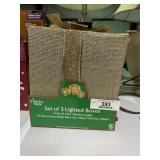 Set of 3 Lighted Boxes
