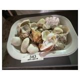 Shell Collection