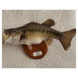 Mounted Taxidermy Bass