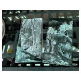 Hand Painted Ceramic Tiles
