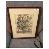 Framed Robert Furber 'March' Botanical Print
