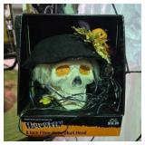 Light Up Halloween Display