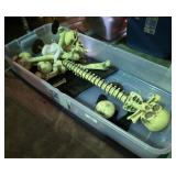 Halloween Display & Tote