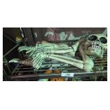 Ground Skeleton