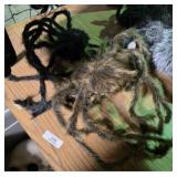 Large Spiders