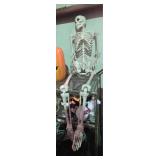 Large Skeleton