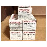 Winchester Wildcat 22 LR
