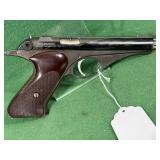 Whitney Wolverines Pistol