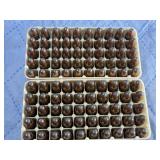 30 Carbine Ammo