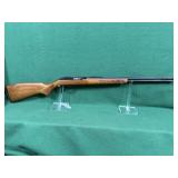 Marlin / Glenfield Model 60 Rifle