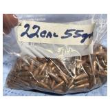 22cal bullets