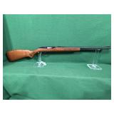 Marlin / Glenfield Model 60 Rifle