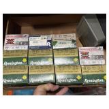 20 ga. Ammo