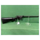 Charter Arms AR-7 Explorer Rifle