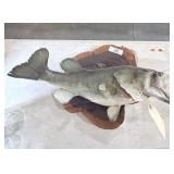 Bass Taxidermy Mount