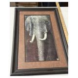 Framed African Elephant Art Print