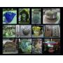 LARGE SELECTION OF COLLECTIBLES, COINS & MORE