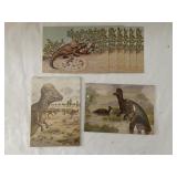 18 Dinosaur Postcards
