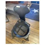 Ergonomic Ball Chair & Lumbar Support
