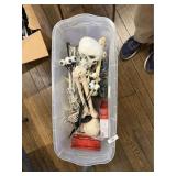 Box of Halloween Skeleton Parts & Misc.