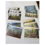 Vintage USPS Nature of America Stamp Sheet Lot