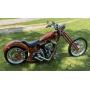 NICE 2008 CUSTOM CHOPPER!