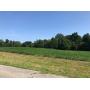 TEN 1+ ACRE BUILDING LOTS in BLUEGRASS ESTATES & 13+/- ADJOINING ACRES in WADESVILLE, IN