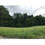 Beautiful Rolling Acreage!