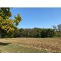 3 BED, 1.5 BATH HOME w/ FULL BASEMENT & OUTBUILDINGS on 22.9+/- ACRES