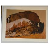 Faner "Buffalo Dream" Signed Print
