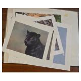 Artist Signed Animal Prints