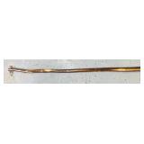 Walking Stick #1