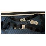 Beams 1600b Racing-Style Lap Seat Belt