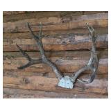 Antlers and Wooden Star Decor