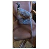 Vintage Bird Taxidermy