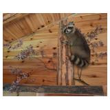 Raccoon Taxidermy