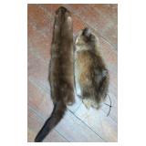 Mink and Muskrat Pelts